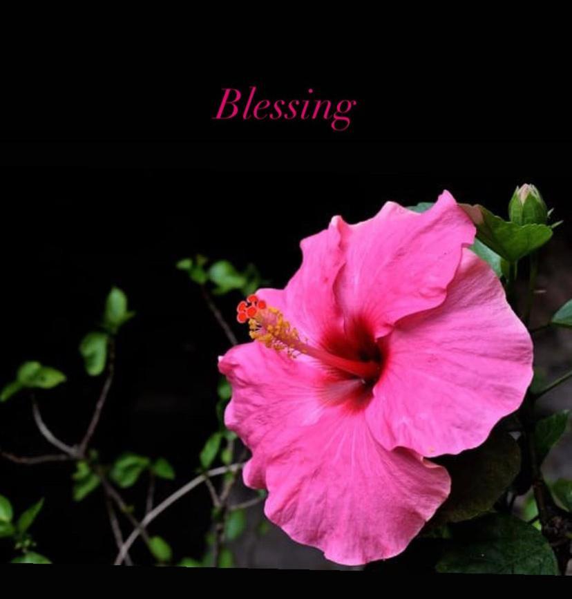 Blessing House Apartamento Nápoles Exterior foto